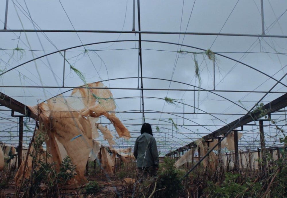 The Plastic House: Allison Chhorn's Documentary is a Simple, Beautiful, Effective Ode to Change