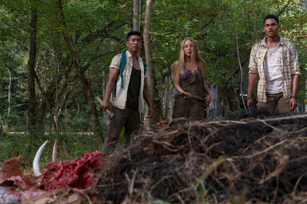 Wrong Turn Review - Baffling and Ridiculous Viewing