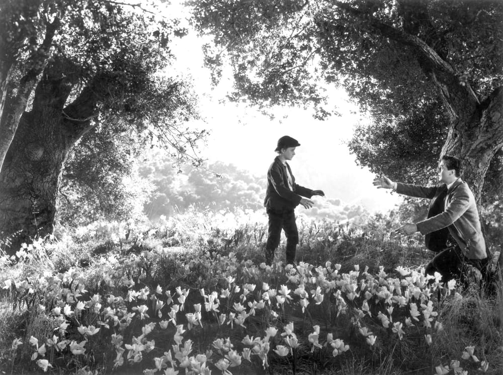 1941 Best Picture Winner: How Green Was My Valley (John Ford) - Awards Don't Matter