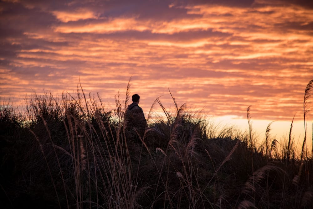 Coming Home in the Dark Review - A Scintillating Drama About the Punishment of Past Misdoings