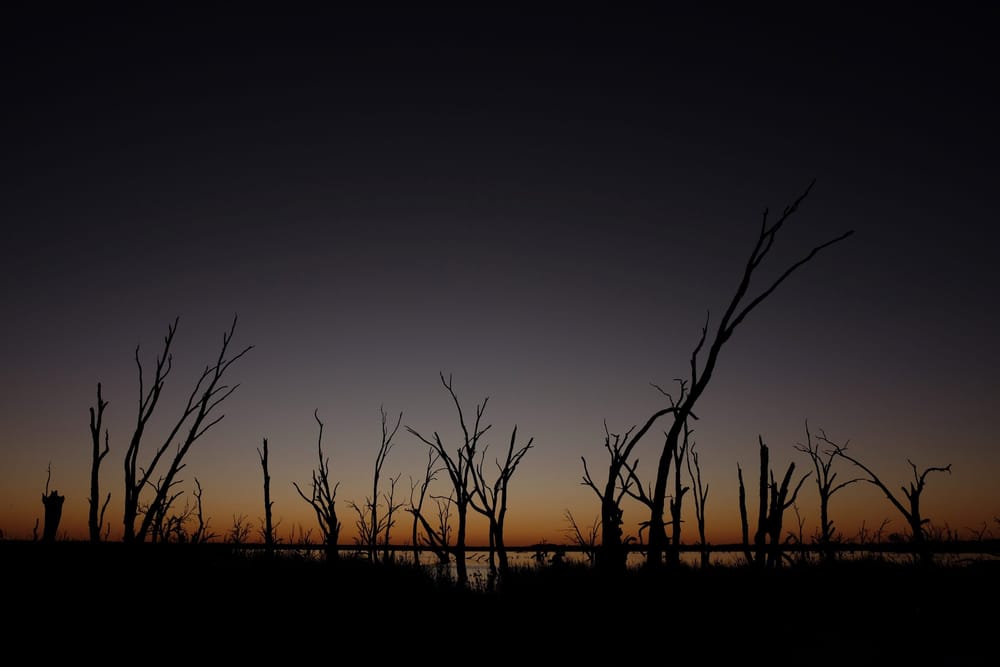 AIDC Awards Call for Submissions for 2024 Conference