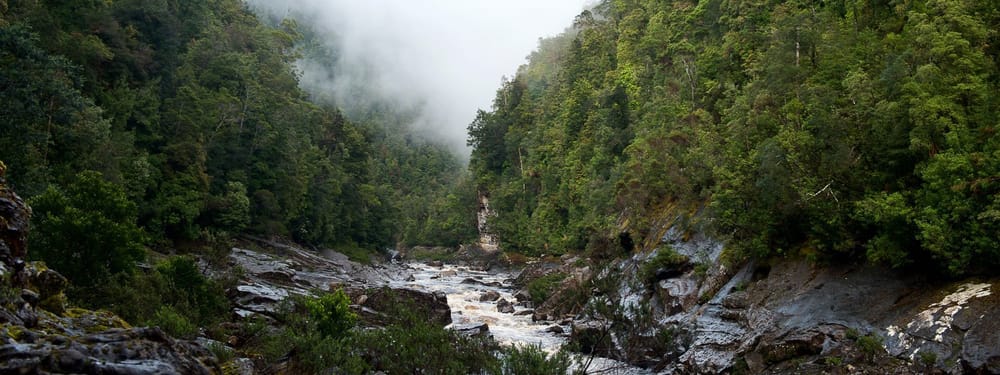 Franklin Director Kasimir Burgess Talks About Honouring Nature, The Protestors Who Save it, and More in This Interview