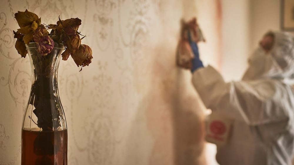 Clean Review - May We All Find Inspiration in Sandra Pankhurst