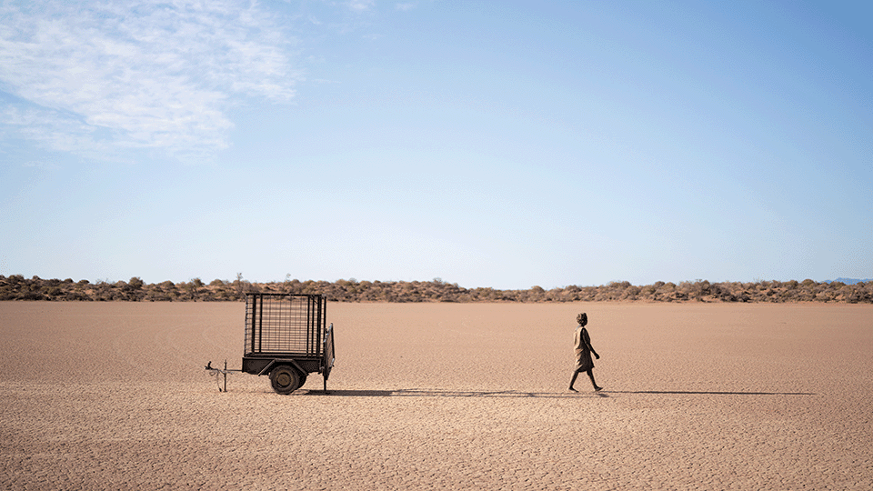 Rolf de Heer's The Survival of Kindness to Open SWIFF'23