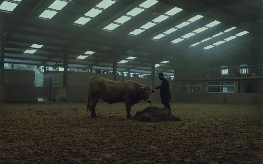 It Is in Us All Review - Antonia Campbell-Hughes' Dark Debut Evokes the Crisis of Masculinity Under the Weight of Patriarchal Oppression