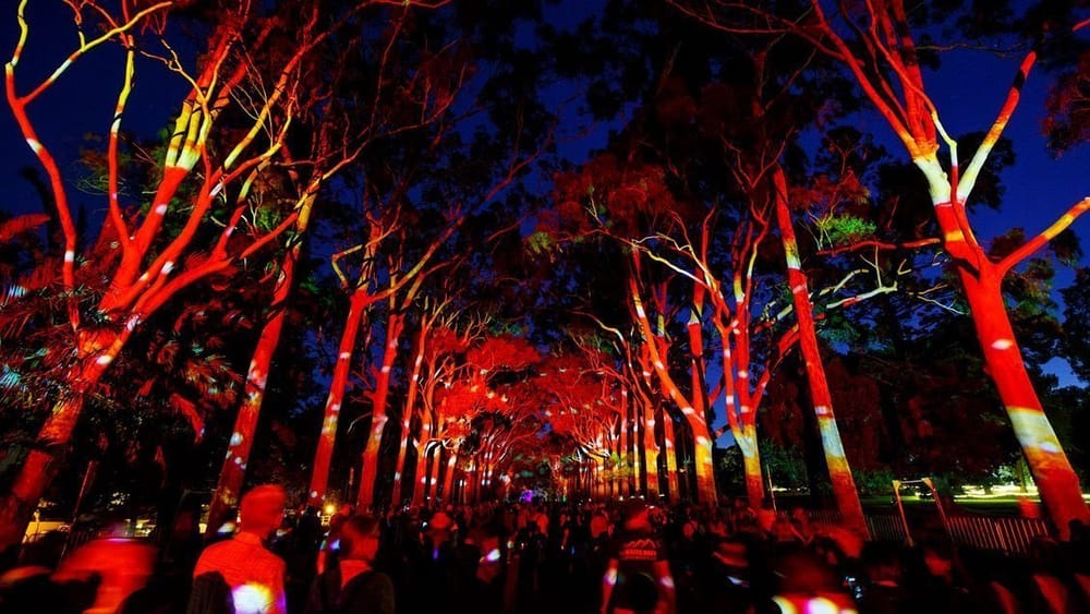 Set Your Senses Alight at EverNow: A Festival During Kambarang