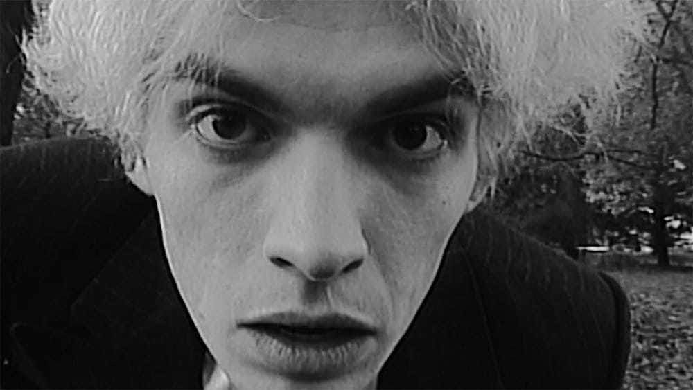 Hippo is a Welcome Addition to the Canon of Cinematic Transgression